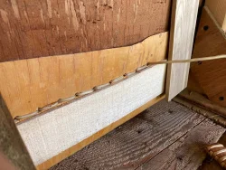 Birchbark canoe