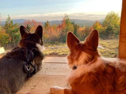 Corgi Mountain Photo: Tom Grett