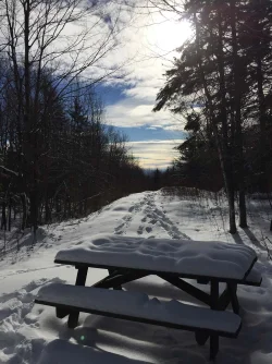 Aliss State Park Photo: Kellene Kiel