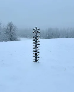 Snowy backyard Photo: Sandy Dannis