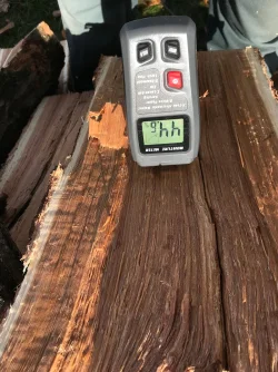 Fresh Cut Oak Photo: Nick Anderson
