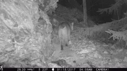 5IMG_0242_w.jpg Photo: Northern Woodlands