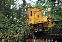 5_Excavator.jpg Photo: Northern Woodlands