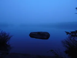 5_bluefogrock_web.jpg
