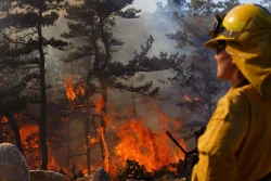 Burn team Photo: Joel R. Carlson