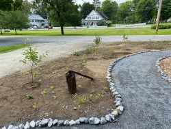 Pollinator garden Photo: Nancy Farwell