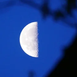 Third quarter moon Photo: Amy Quist