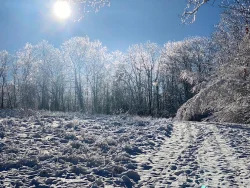Ice crystals Photo: Kendra Ritchie
