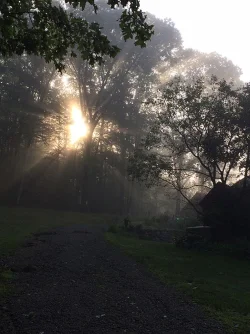 7_august_mist.jpg