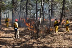 Fire boss Photo: Joel R. Carlson