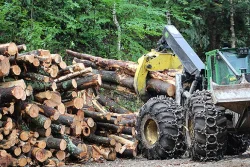 8_Excavator.jpg Photo: Northern Woodlands