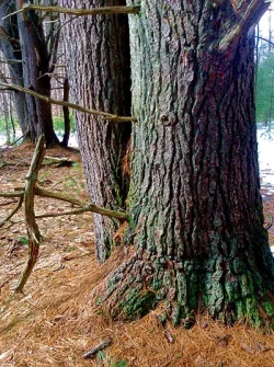 8_img_5928.jpg