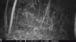 8_possum_2016.jpg Photo: Photo Credits: Jade Jarvis and Alyssa Valentyn