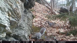 9IMG_0268_w.jpg Photo: Northern Woodlands