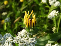 9_img_9679.jpg