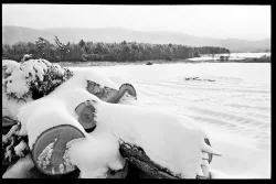 Cobbling_Together_4.jpg Photo: George Bellerose