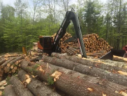Kimball_Logging_5.jpg Photo: Photo courtesy of Randy Kimball