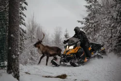 Reindeer_People_7.jpg Photo: Kang-Chun Cheng