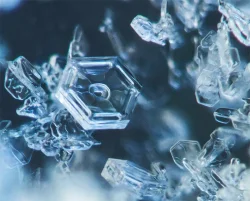 Snowflake_Photo_2.jpg Photo: Jonathan McElvery