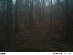 Springing_Gallery_3.jpg Photo: Northern Woodlands