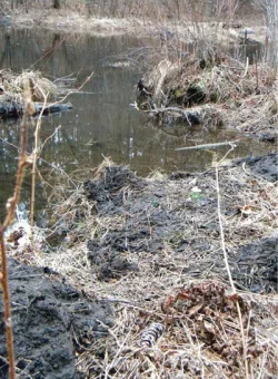 apron10.jpg Photo: Northern Woodlands