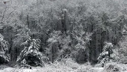 bridget_park_sunday_snow_web.jpg
