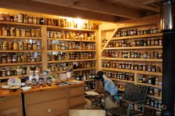 Maple syrup collection Photo: Ben DeFlorio