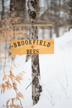 Brookfield bees sign Photo: Ben DeFlorio