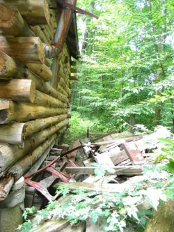 cabin1.jpg Photo: Dave Mance III