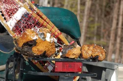chaga_0071_web.jpg