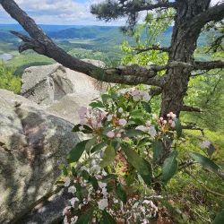 Monument mountain Photo: Tammis Coffin