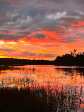 Sunrise thumbnail