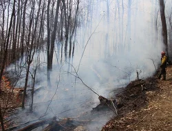 controlled_burn_1.jpg Photo: Dave Mance III