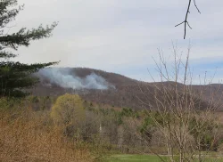 controlled_burn_3.jpg Photo: Dave Mance III