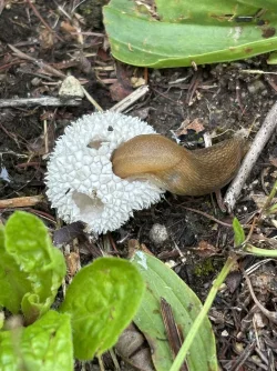 Slug Photo: Richard Doucette