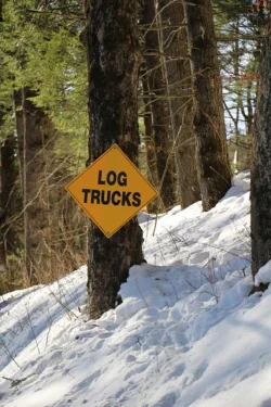 elise_logtrucks_web.jpg