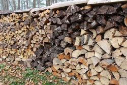firewood_stacking_1.jpg Photo: Dave Mance III