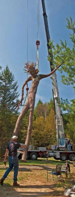 giant12.jpg Photo: John Douglas/Flying Squirrel