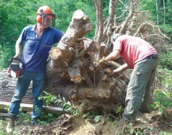 giant6.jpg Photo: John Douglas/Flying Squirrel
