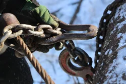 logging4.jpg Photo: Northern Woodlands