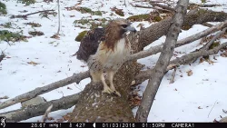 march_gam_cam10.jpg
