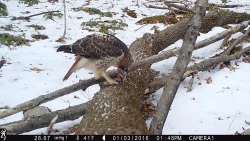 march_gam_cam5.jpg
