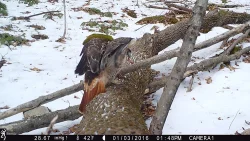 march_gam_cam6.jpg
