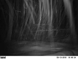 midmarch_8.jpg Photo: Northern Woodlands