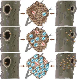 nest_sites.jpg Photo: Margaret C. Nelson