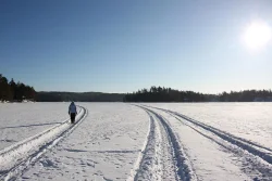 pat_morningwalk19-belowColtonNY_web.jpg