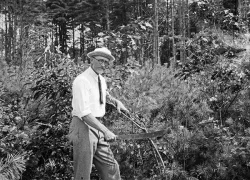 pisgah10.jpg Photo: Harvard Forest Archives