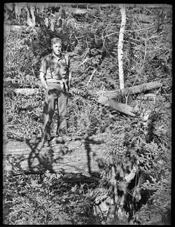 pisgah1.jpg Photo: Harvard Forest Archives