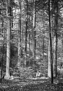 pisgah9.jpg Photo: Harvard Forest Archives