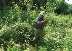 powerlines_5.jpg Photo: Madeline Bodin